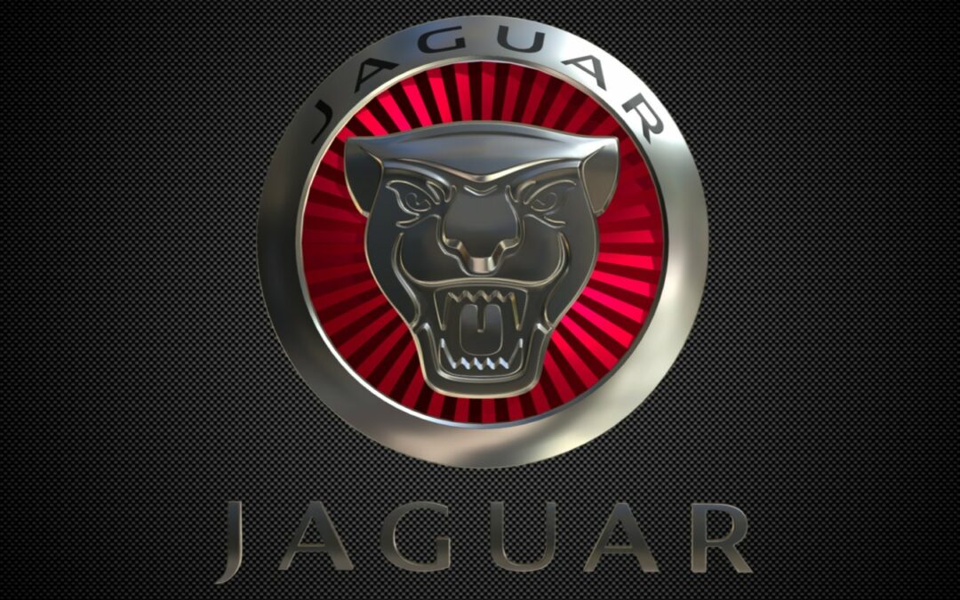 Reportage JAGUAR sur RMC Découverte